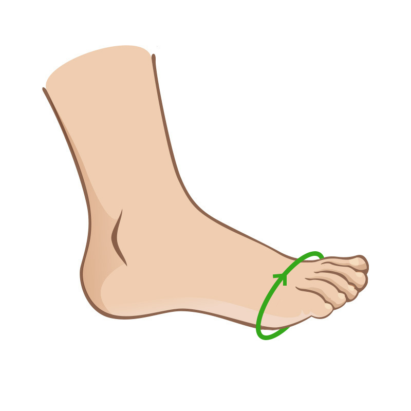 Bunion Corrector sizing diagram